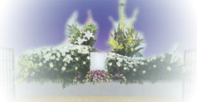 �k��B�s�Ƒ����f���b�N�X�v����